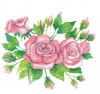 �ڲ֡ۥɥ����� PPD �ڡ��ѡ��ʥץ���/Rose Garden��L������ 20�������