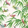 �ڲ֡����˥ޥ��Caspari �ڡ��ѡ��ʥץ���/Birds In Paradis��L������ 20�������