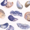 �ڲơ�Caspari �ڡ��ѡ��ʥץ���/Oysters And Muss��L������ 20�������