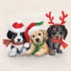 ڥꥹޥAmbiente ڡѡʥץ/Sweet DogsL 20