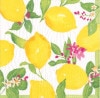 �ڥե롼�ġ�Caspari �ڡ��ѡ��ʥץ���/Limoncello��L������ 20�������