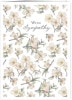 ڤߥɡۥQuireʥ磻䡼IVORY WHITE SYMPATHY/cherry blossoms