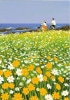 ¿Ū Quireʥ磻䡼ˡ꡼ǥ󥰥 Heartfelt/flower field bik