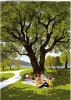 ¿Ū Quireʥ磻䡼ˡ꡼ǥ󥰥 Heartfelt/picnic with frie