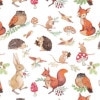 �ڽ���ưʪ��Ambiente �ڡ��ѡ��ʥץ���/Woodland animals��L������ 20�������