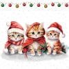 ڥꥹޥAmbiente ڡѡʥץ/ ƣ  KittenL 20