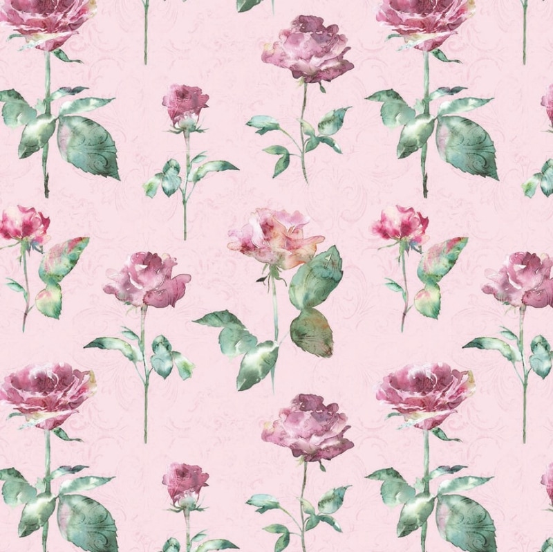 �ڲ֡�Ambiente �ڡ��ѡ��ʥץ���/Julia pink��L������ 20�������