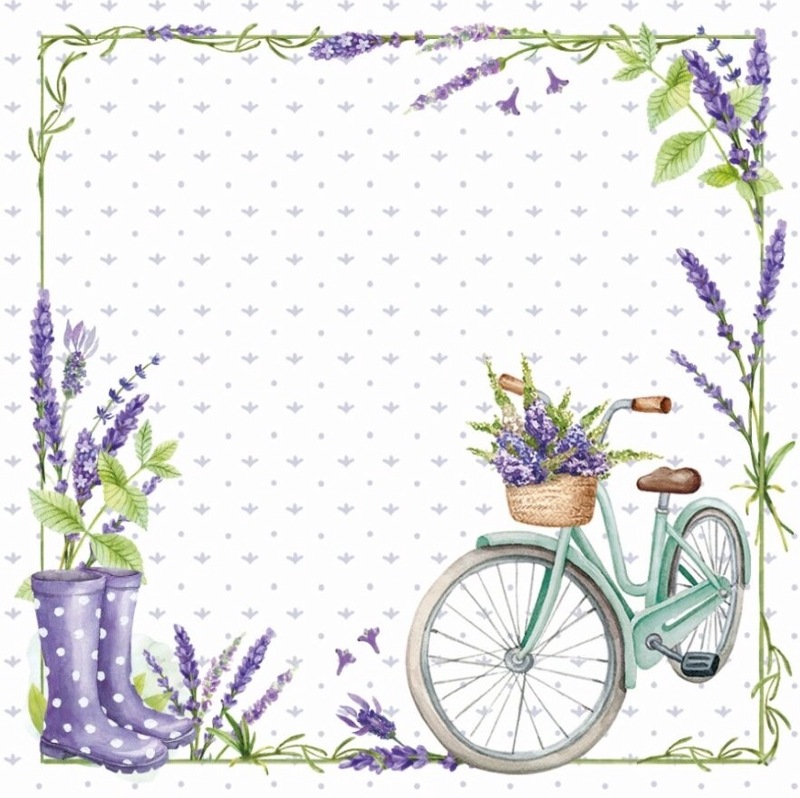 �ڲ֡�Ambiente �ڡ��ѡ��ʥץ���/Lavender love��L������ 20�������