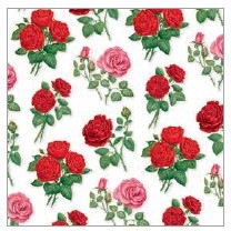 �ڲ֡�Ambiente �ڡ��ѡ��ʥץ���/Hailey white��L������ 20�������