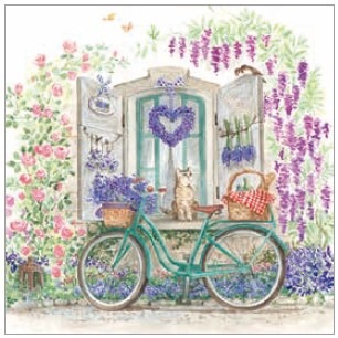 �ڲ֡�Ambiente �ڡ��ѡ��ʥץ���/Bike with basket��L������ 20�������