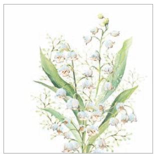 �ڲ֡�Ambiente �ڡ��ѡ��ʥץ���/Lily of valley ��L������ 20�������
