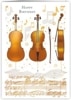 ¿ŪɡۥQuireʥ磻䡼˥꡼ǥ󥰥/Mac Classic/cellos