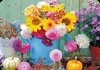 ڲ͢ݥȥɡۥɥ Gollongʥ ե