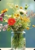 ڲ͢ݥȥɡۥɥ Gollongʥ ե