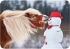 ڲ͢ݥȥɡۥɥ Gollongʥ Ϥ