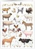 ¿Ū Farming AnimsalsۥQuireʥ磻䡼˥꡼ǥ󥰥/Mac Classic