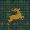 ڥꥹޥۥɥ Caspari  ڡѡʥץ/Reindeer Tartan L 20