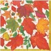 ڽۥɥ Caspari  ڡѡʥץ/Swirling Leaves L 20