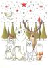 �ڥ��ꥹ�ޥ� �ߥ˥����ɡۥ�������Quire�ʥ��磻�䡼�˥��꡼�ƥ��󥰥�����/winter animals