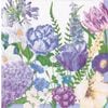 �ڲ֡�Caspari �ڡ��ѡ��ʥץ���/Shades of Blue��L������ 20�������