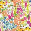 �ڲ֡�Caspari �ڡ��ѡ��ʥץ���/Primavera��L������ 20�������