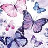 Ambiente �ڡ��ѡ��ʥץ���/Butterflies��L������ 20������ 33��33cm��
