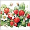 �ڥե롼�� �ѡ��ƥ�����Ambiente �ڡ��ѡ��ʥץ���/JuicyStrawberries��L������ 20�������