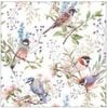 �ڥܥ��˥��롡���˥ޥ��Ambiente �ڡ��ѡ��ʥץ���/Busy��Birds��L������ 20�������