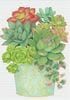 ��¿��Ū�����ɡۥ���ꥫ Caspari�� ���꡼�ǥ��󥰥�����/17.0��11.8cm��Potted Succulent