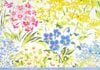 �� ¿��Ū�����ɡ۹��ʼ� Caspari�� ���꡼�ǥ��󥰥�����/Meadow Flowers 14.8��10.5cm ���������