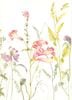 �� ¿��Ū�����ɡ۹��ʼ� Caspari�� ���꡼�ǥ��󥰥�����/ FrenchFloral 14.8��10.5cm ���������