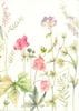 �� ¿��Ū�����ɡ۹��ʼ� Caspari�� ���꡼�ǥ��󥰥�����/ FrenchFloral 14.8��10.5cm ���������