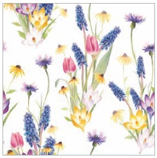 �ڲ֡�Ambiente �ڡ��ѡ��ʥץ���/Hello spring��L������ 20�������