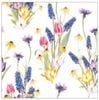 �ڲ֡�Ambiente �ڡ��ѡ��ʥץ���/Hello spring��L������ 20�������