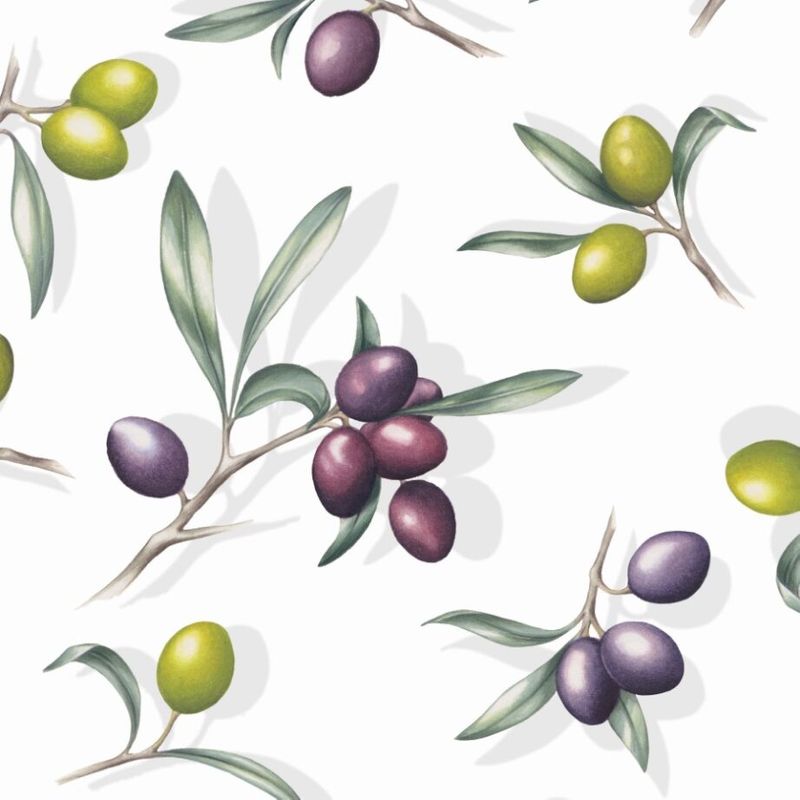 �ڥܥ��˥����Ambiente �ڡ��ѡ��ʥץ���/Delicious olives��L������ 20�������