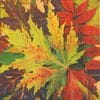 �ڽ����ܥ��˥����Ambiente �ڡ��ѡ��ʥץ���/Fall Festival��L������ 20�������