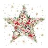 �ڥ��ꥹ�ޥ��ۥɥ����� PPD �ڡ��ѡ��ʥץ���/BeautifulXmasStar��L������ 20�������