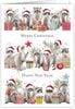 �ڥ��ꥹ�ޥ������ɡۥ�������Quire�ʥ��磻�䡼�˥��꡼�ƥ��󥰥�����/racoons SantaHut