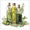 �ڥա��� �ѡ��ƥ�����Ambiente �ڡ��ѡ��ʥץ���/Oils and Herbs��L������ 20�������
