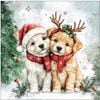 �ڥ��ꥹ�ޥ���Ambiente �ڡ��ѡ��ʥץ���/Cody and Buddy��L������ 20�������