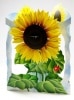 �İ�������륹�����󥰡���å�����������/Santoro London Sun Flowers�ʤҤޤ���