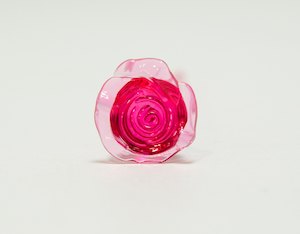 ڣOFFۥե󥰥ԥå  8 MS SCH&#214;N+ʥץ饹