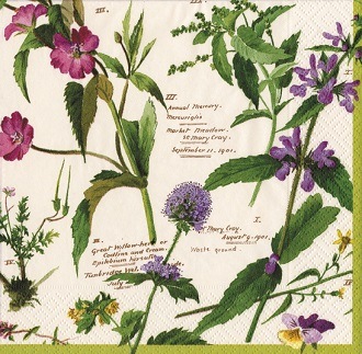 �ڲ֡�Caspari �ڡ��ѡ��ʥץ���/WILD��FLOWERS��L������ 20�������