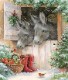 ��������Ambiente �ڡ��ѡ��ʥץ���/���󥿥��ɥ󥭡�����L������ 20�������