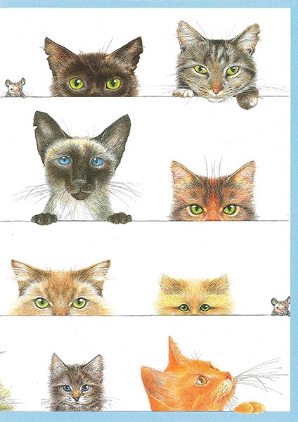 �ڥͥ� �֥롼 ¿��Ū�����ɡ۹��ʼ� ����ꥫ Caspari�� ���꡼�ǥ��󥰥�����/Kitties Blue��͢�������ɡ����������ɡ�