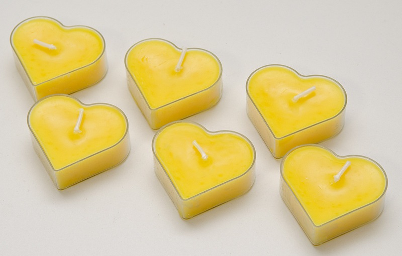 �ڣ�����OFF�ۥ��ꥢ���å� �ƥ����饤�� �����ɥ�ʥϡ��ȡ����եۥ磻�ȡ˥ݥꥫ�ܡ��� 6������ SCH&Ouml;N+�ʥ�������ץ饹��