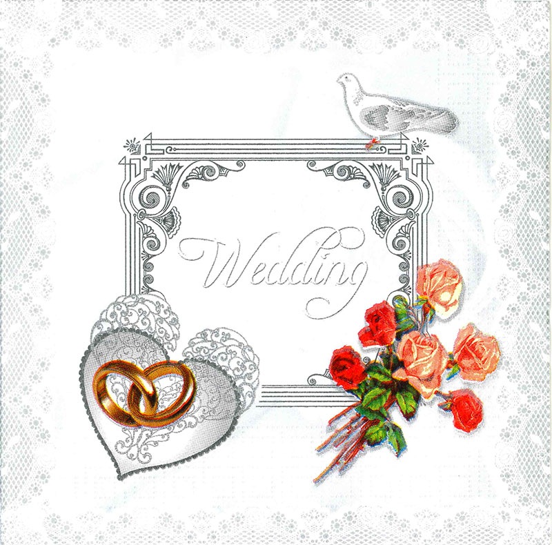 �ڥ����ǥ��󥰡��뺧�����ѡ��ƥ����ۥɥ����� PPD �ڡ��ѡ��ʥץ���/�����ǥ��� �ǥ� ����С���L������ 20�������