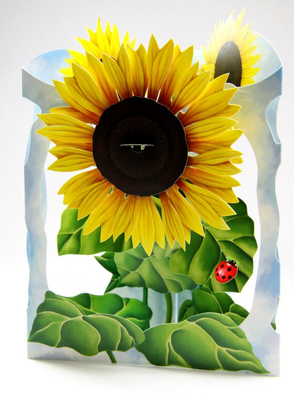 �İ�������륹�����󥰡���å�����������/Santoro London Sun Flowers�ʤҤޤ���