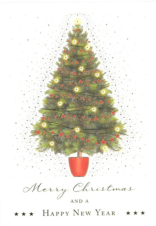 【クリスマスカード】オランダ製Quire（クワイヤー）グリーティングカード/Xmas Trees Star ペーパーナプキン