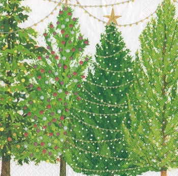 �ڥ��ꥹ�ޥ��ۥɥ����� Caspari  �ڡ��ѡ��ʥץ���/���ꥹ�ޥ��ĥ꡼���饤�ġ�L������ 20�������